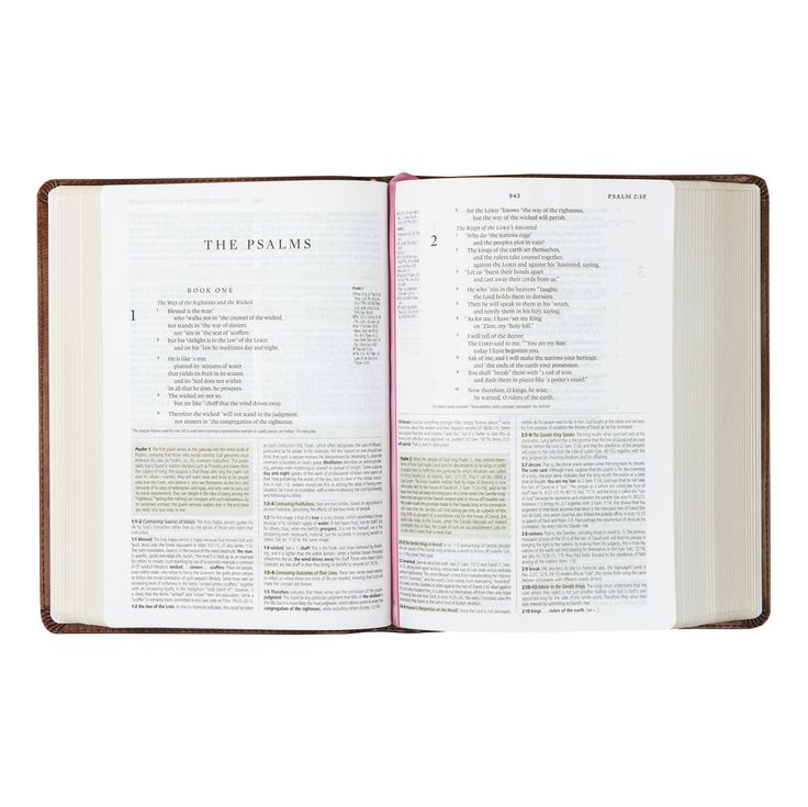 Aurora Theme ESV Study Bible