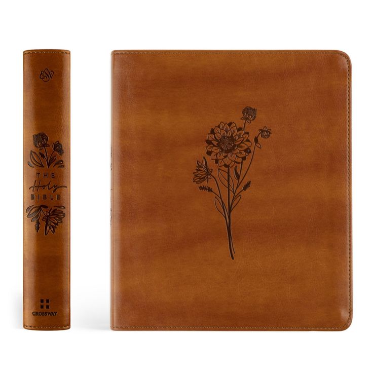 Sierra Theme ESV Journaling Bible