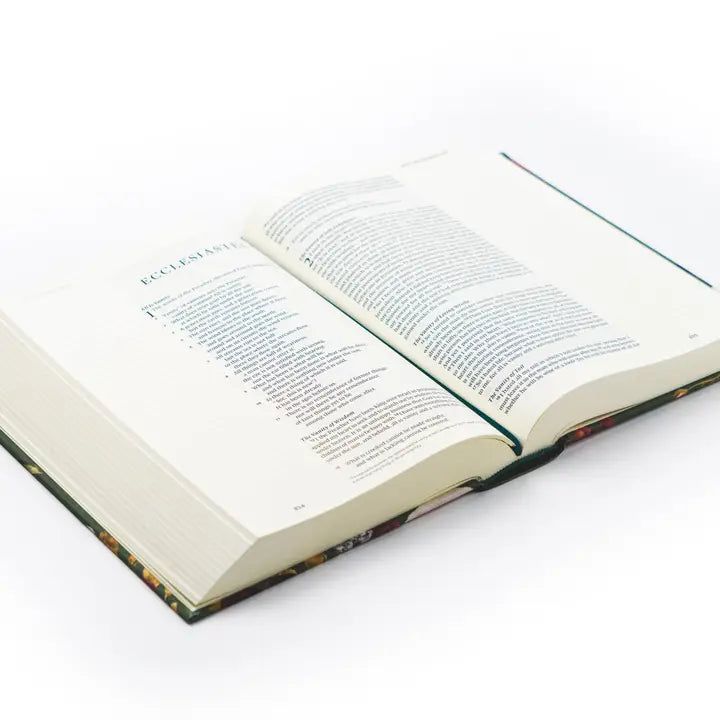Hollis Theme Large Print ESV Journaling Bible