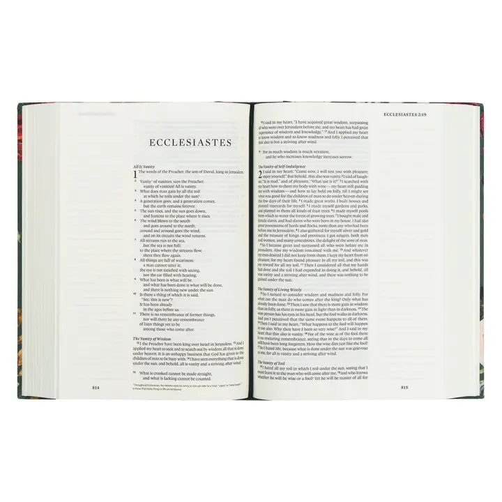 Hollis Theme Large Print ESV Journaling Bible