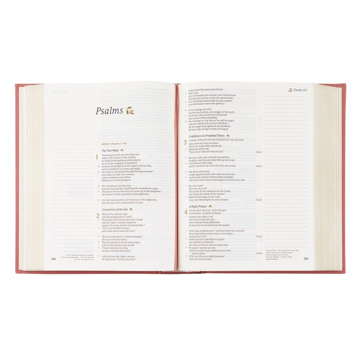 Rosedal Theme CSB Notetaking Bible