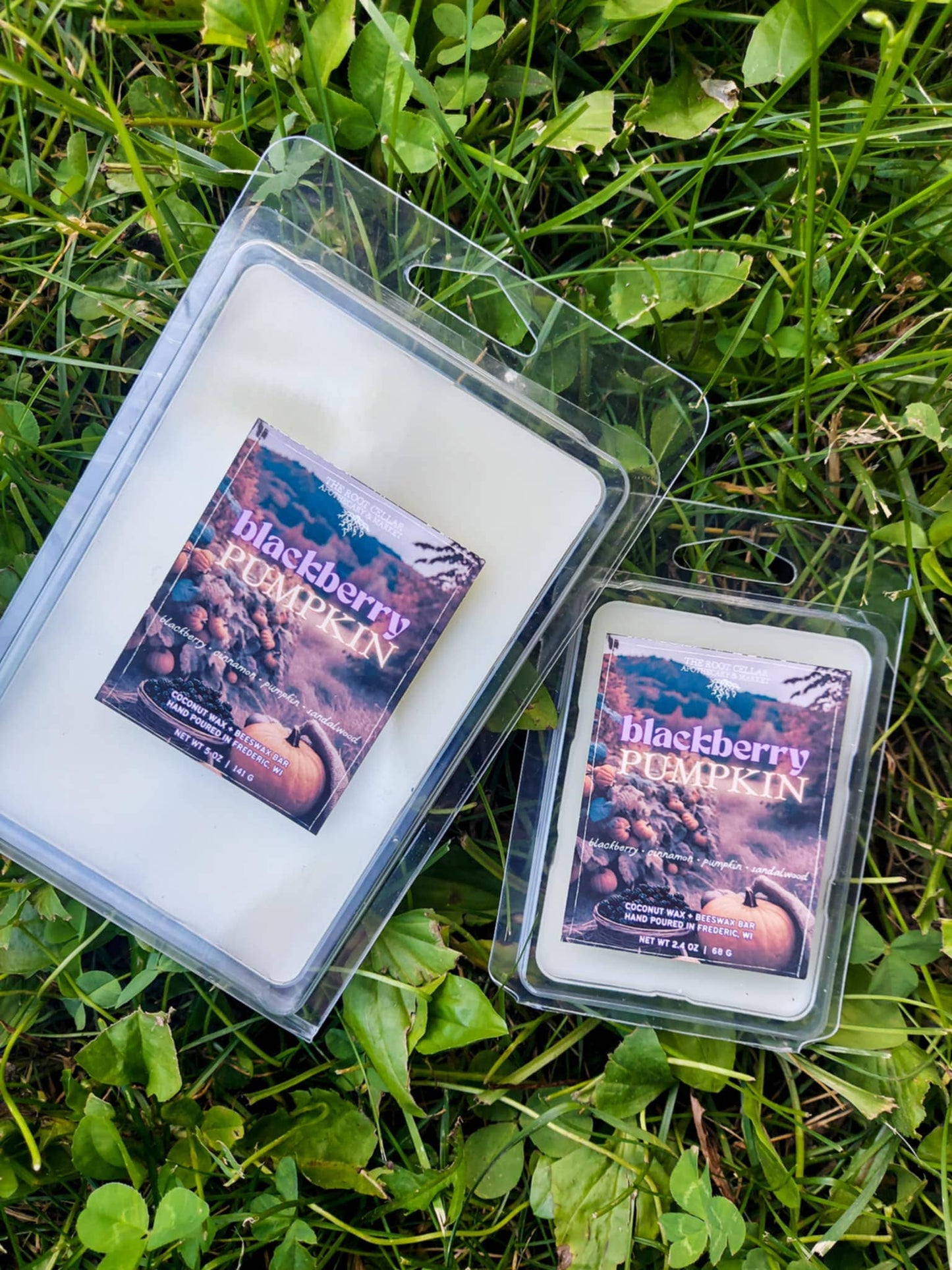 Blackberry Pumpkin Wax Bar