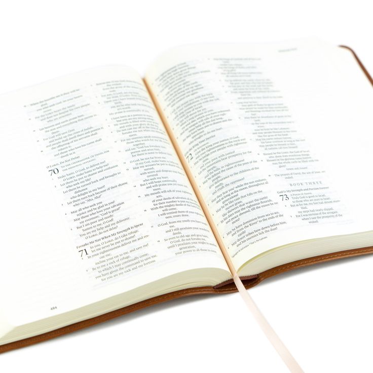 Sierra Theme ESV Journaling Bible