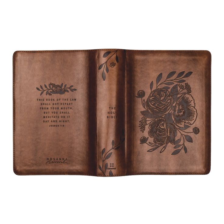 Aurora Theme ESV Study Bible