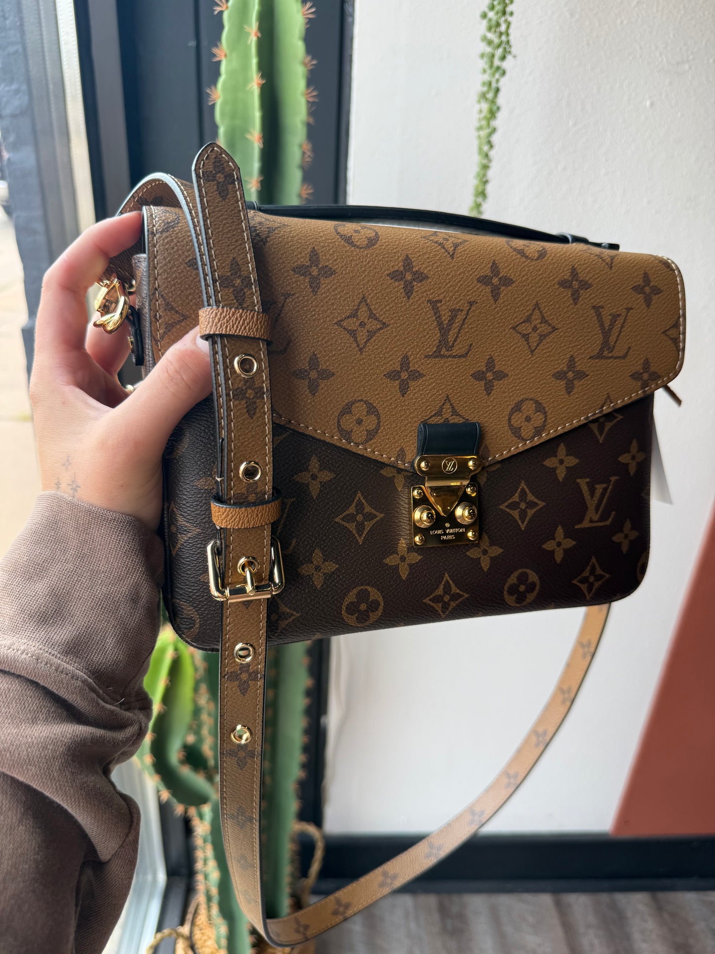Luxury Brown Crossbody