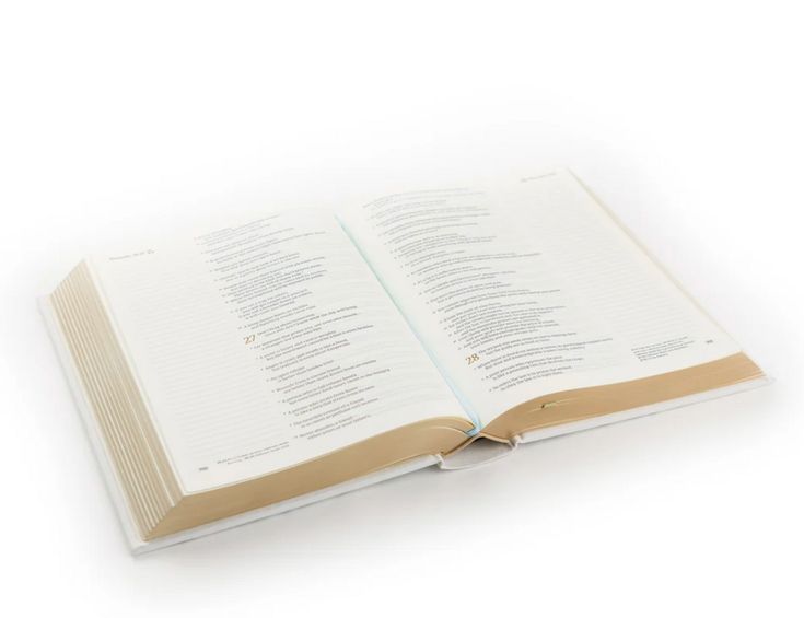 Lisbon Theme NLT Notetaking Bible