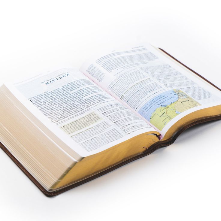 Aurora Theme ESV Study Bible