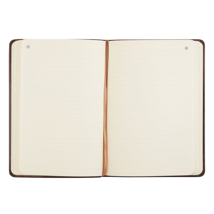 Aurora Theme Notebook