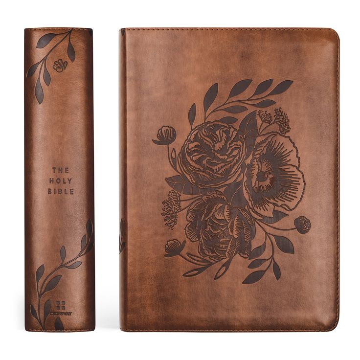 Aurora Theme ESV Study Bible