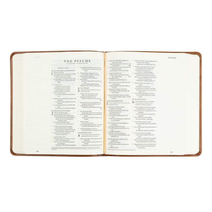Sierra Theme ESV Journaling Bible