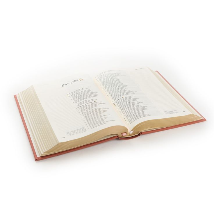 Rosedal Theme CSB Notetaking Bible