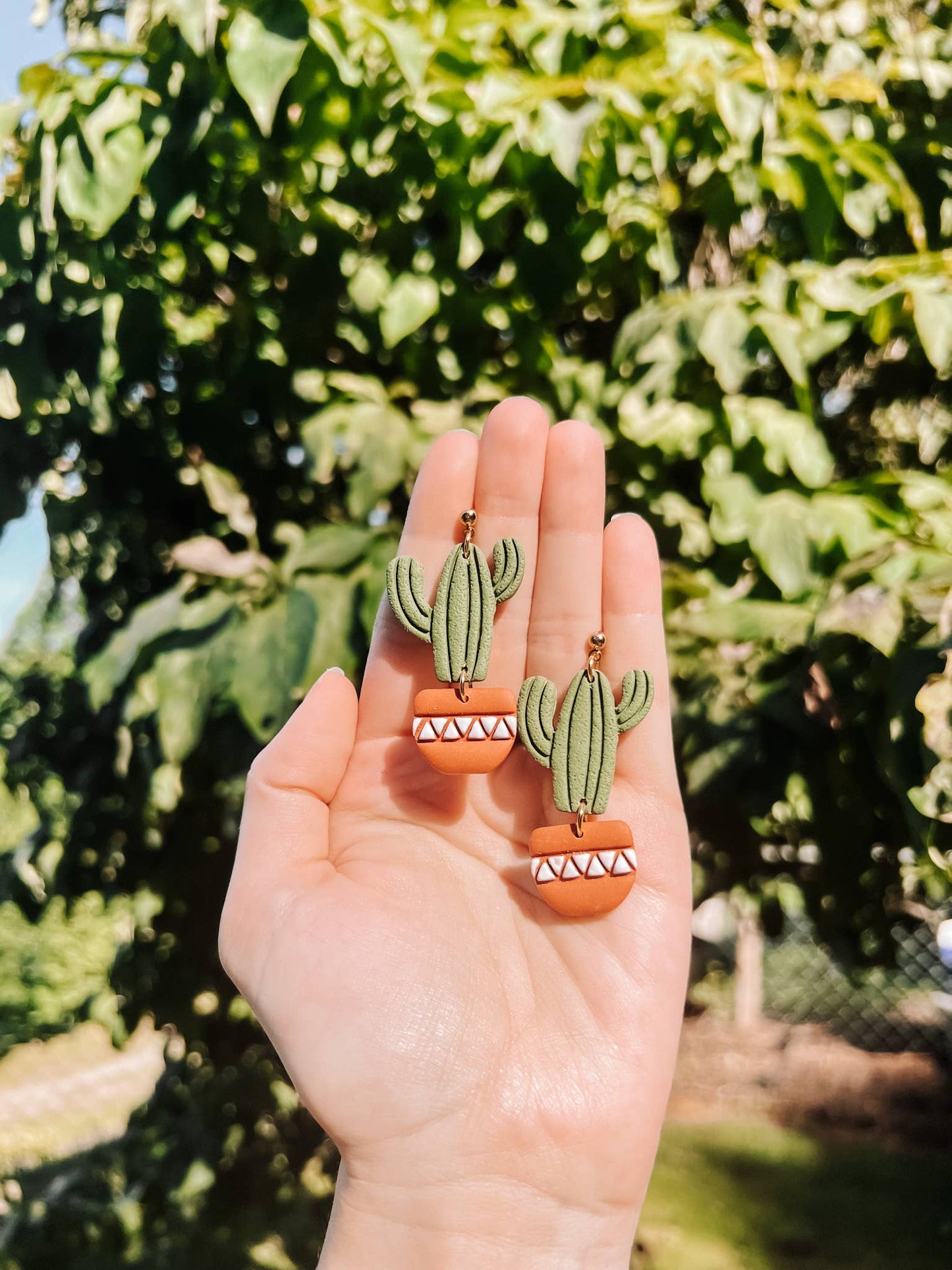 Potted Saguaros
