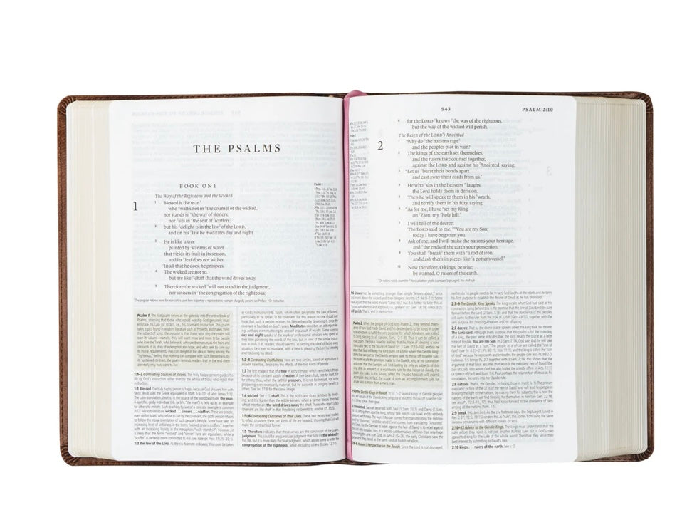 Aurora Study Bible