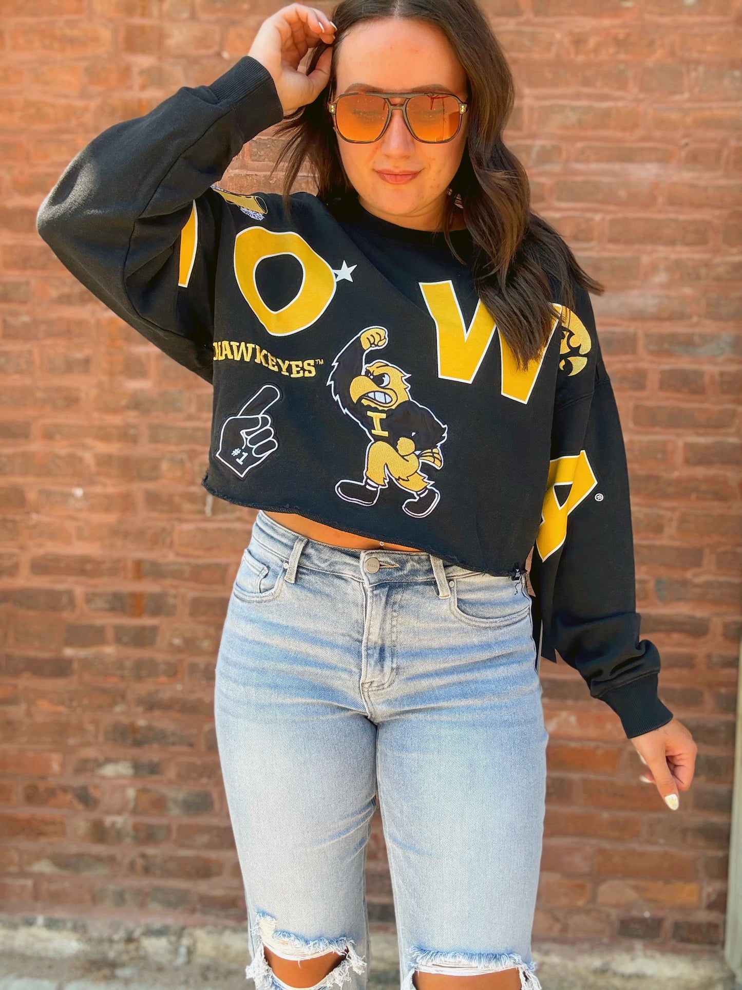 Iowa Patched Up Cropped Longsleeve