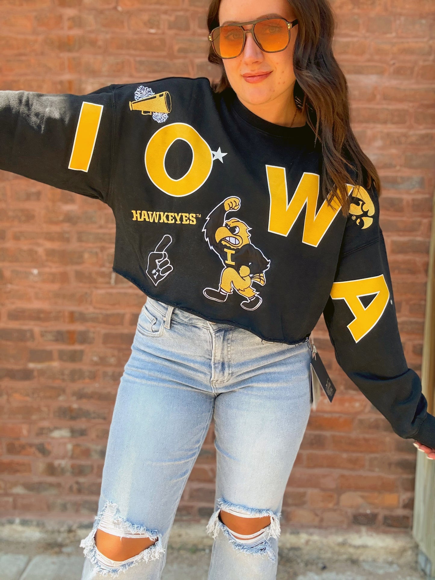 Iowa Patched Up Cropped Longsleeve