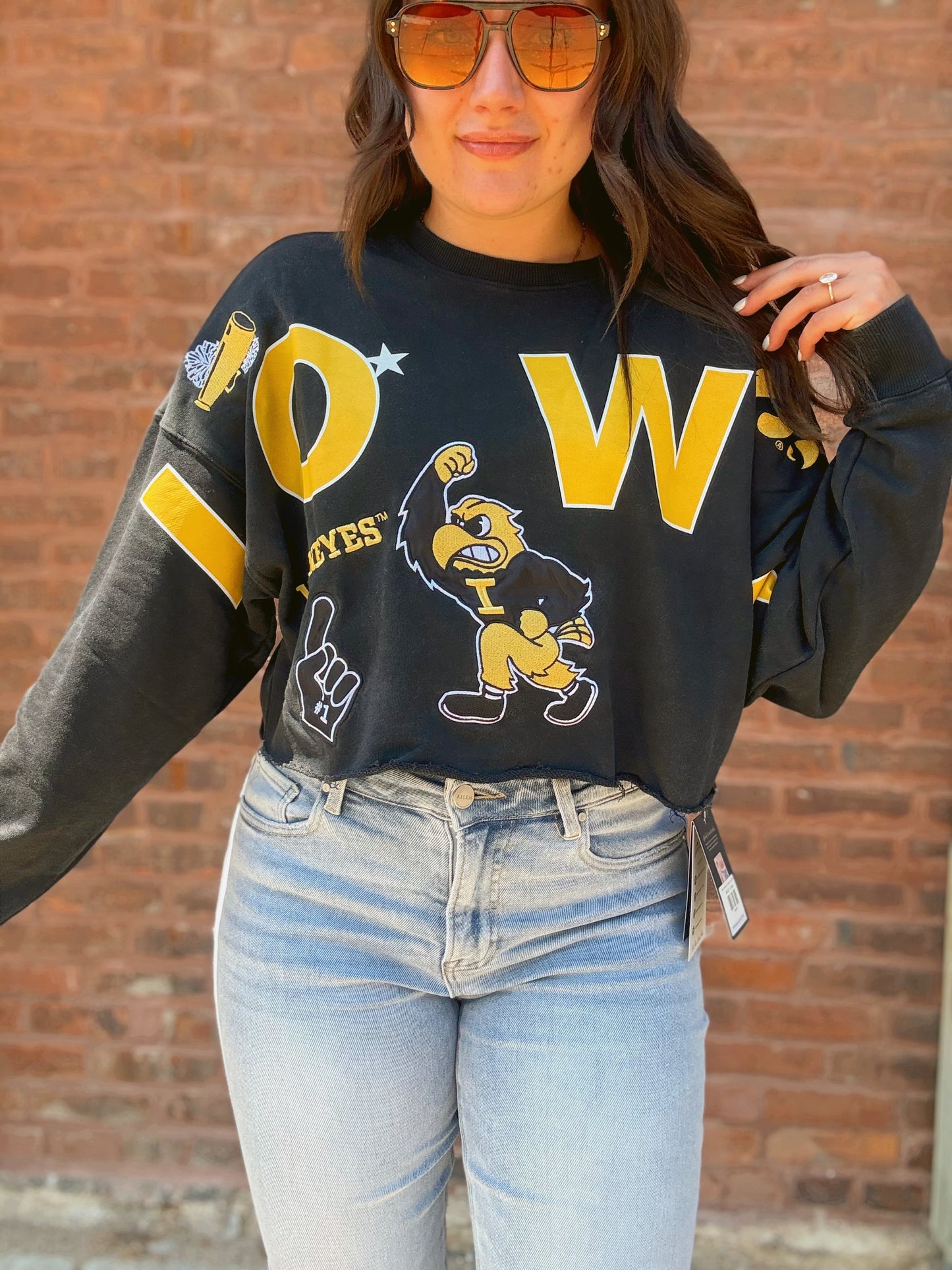 Iowa Patched Up Cropped Longsleeve