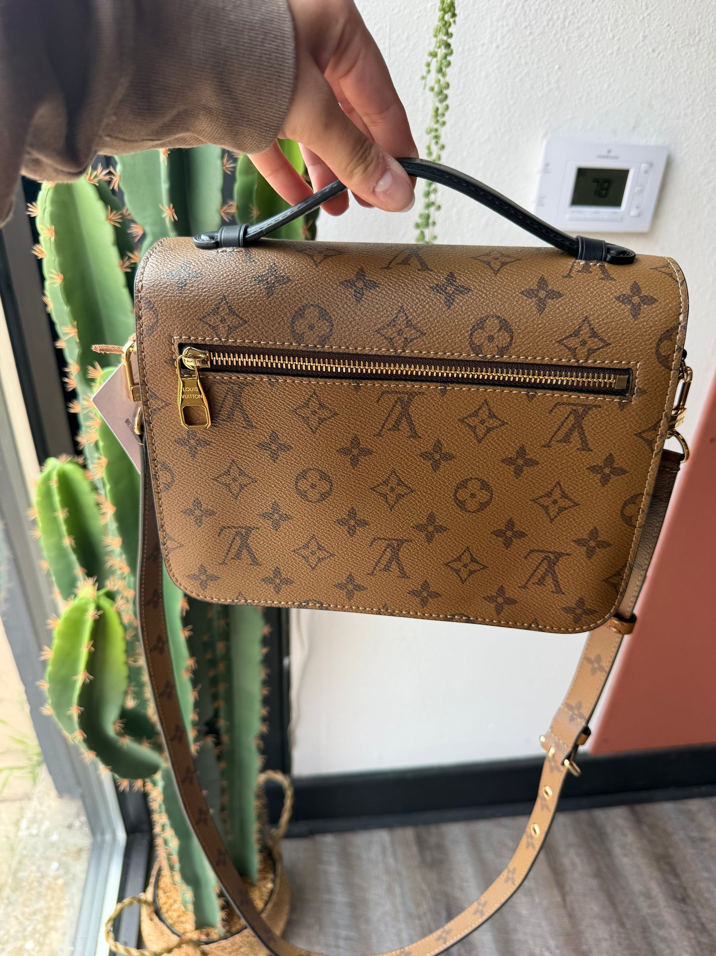 Luxury Brown Crossbody