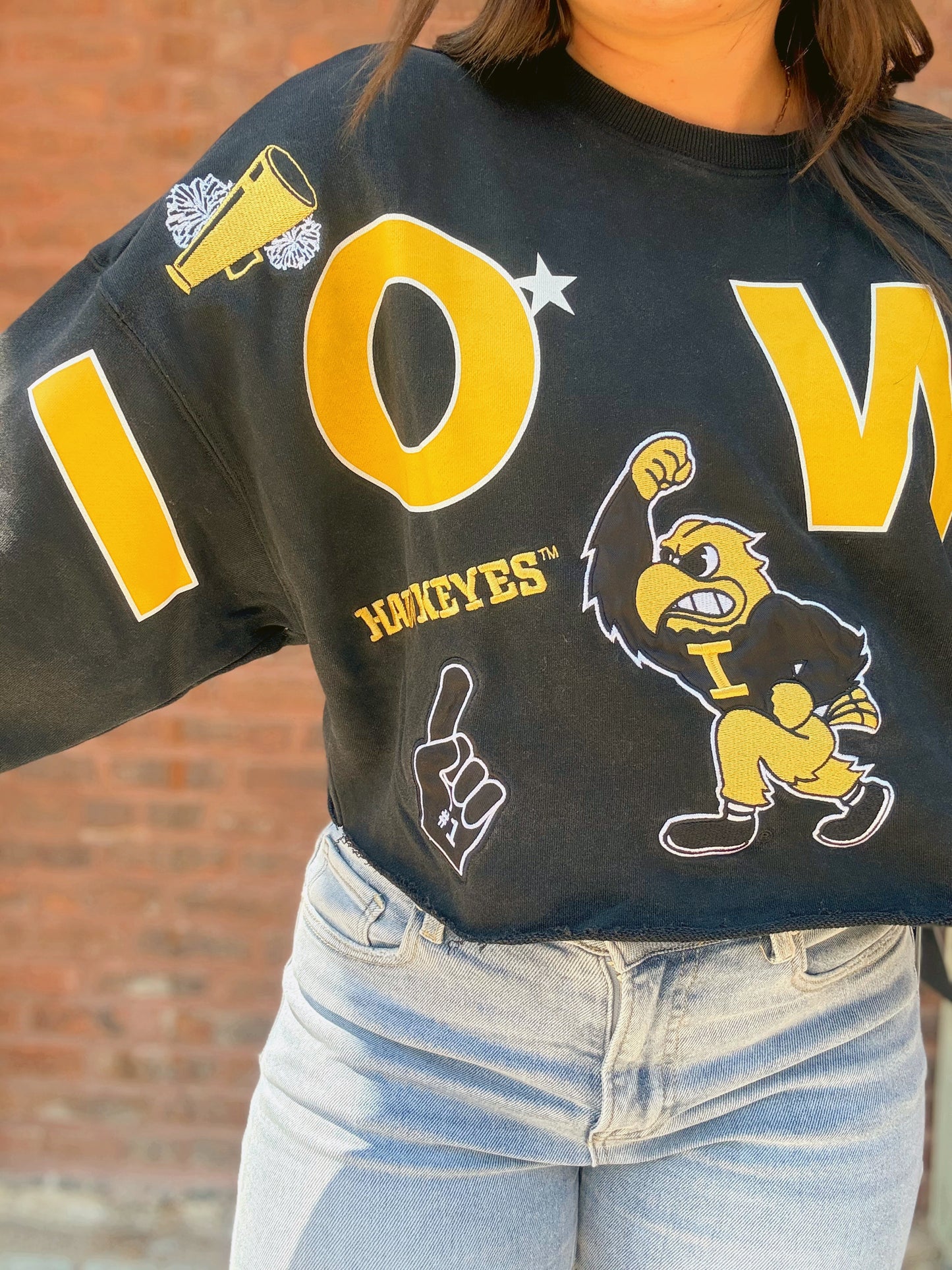 Iowa Patched Up Cropped Longsleeve