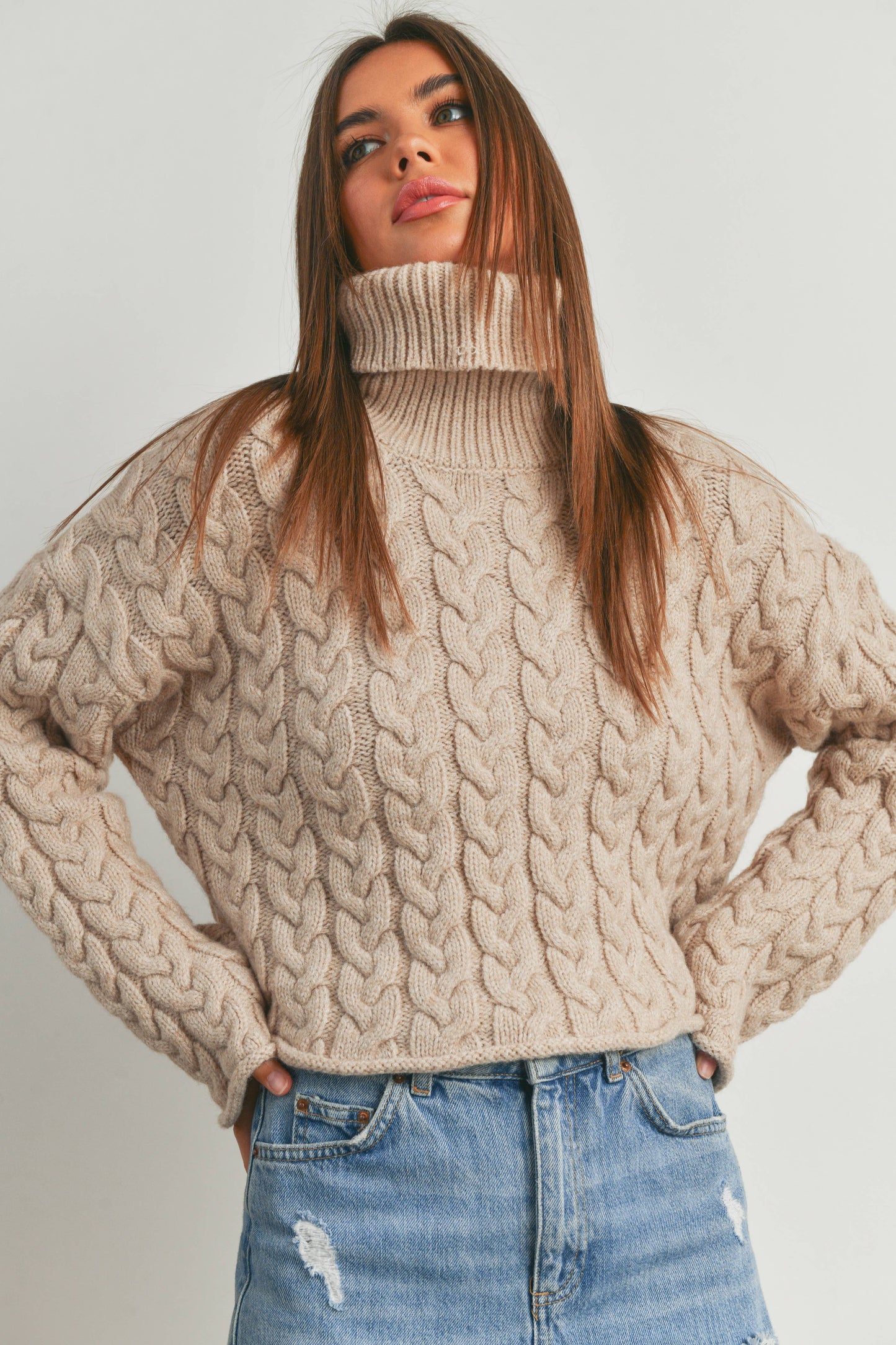 Noel Turtleneck Sweater