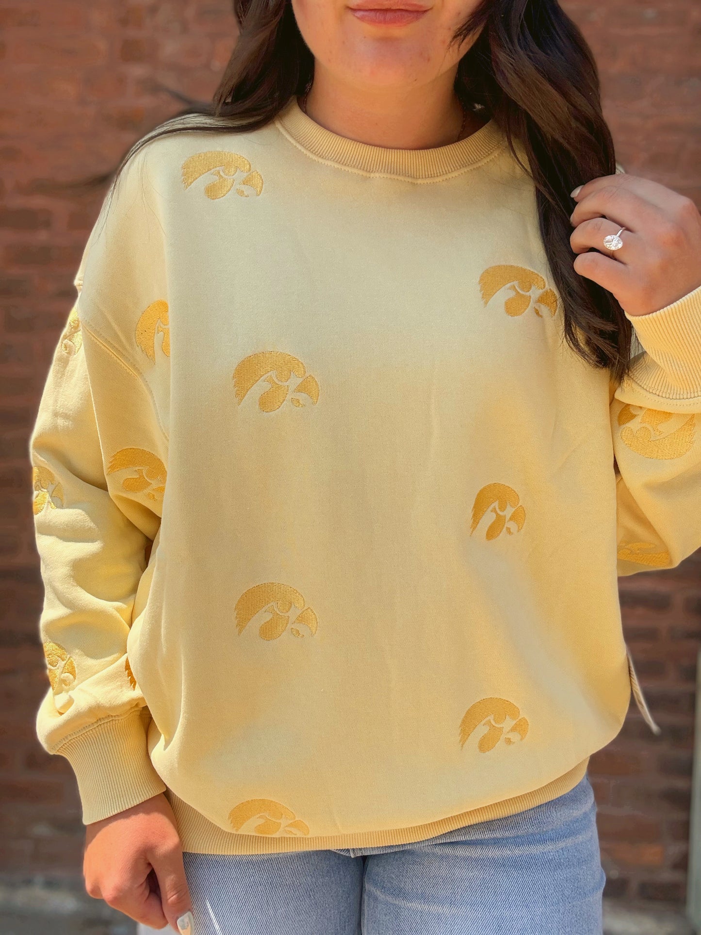 Iowa Ritter Repeat Lantern Sleeve Crew