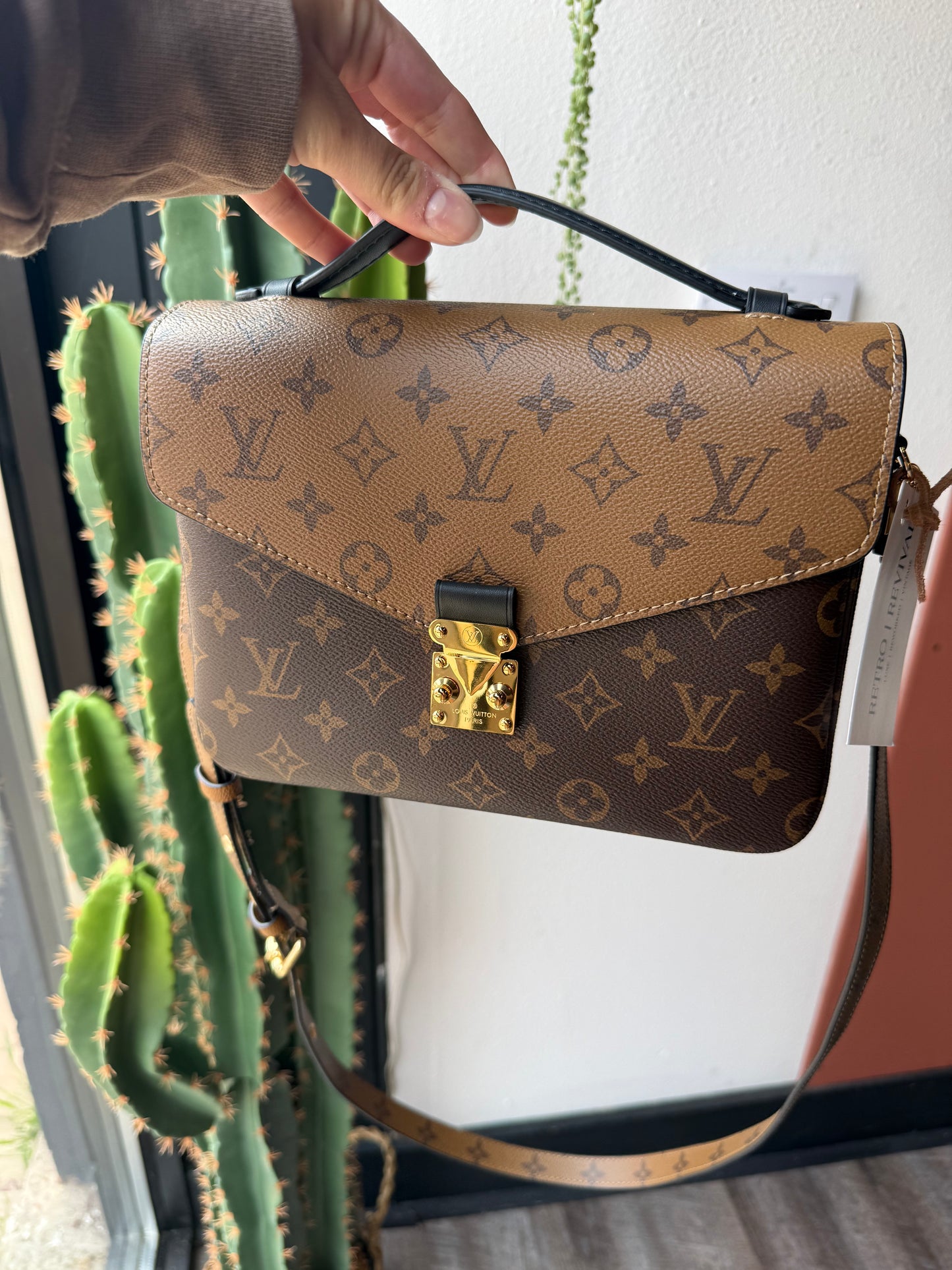 Luxury Brown Crossbody