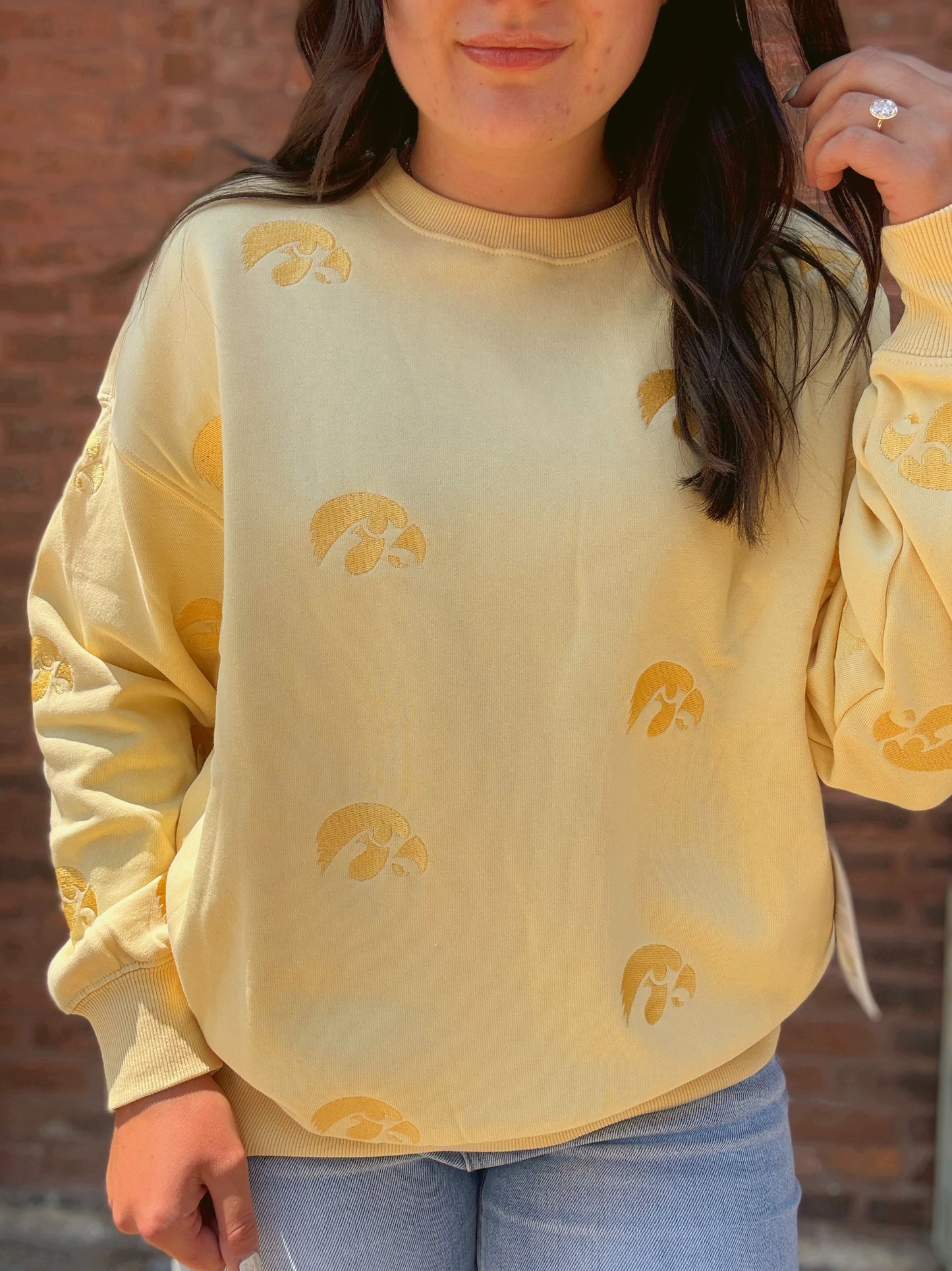 Iowa Ritter Repeat Lantern Sleeve Crew