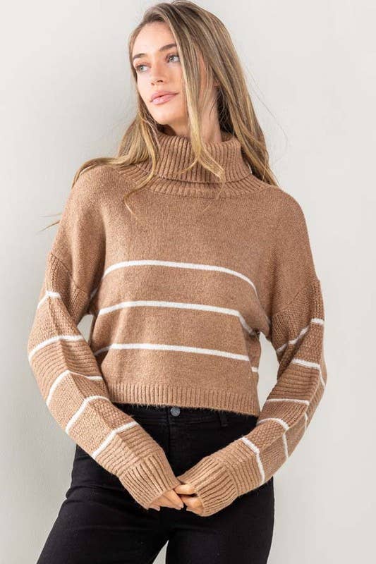 Stripe Sweater Turtleneck