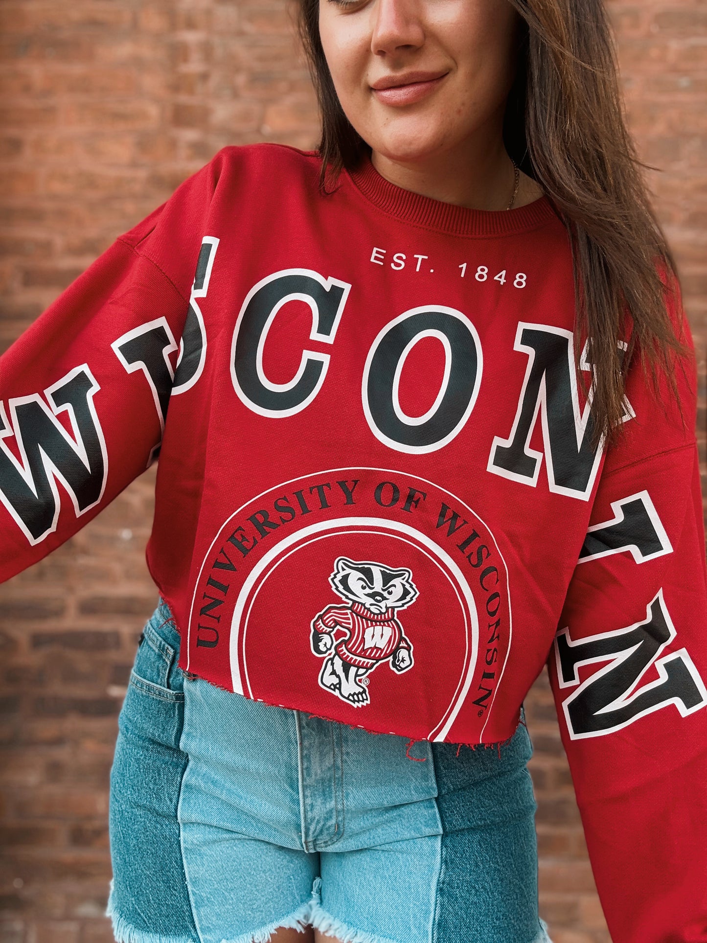 Wisconsin Split Cropped Longsleeve