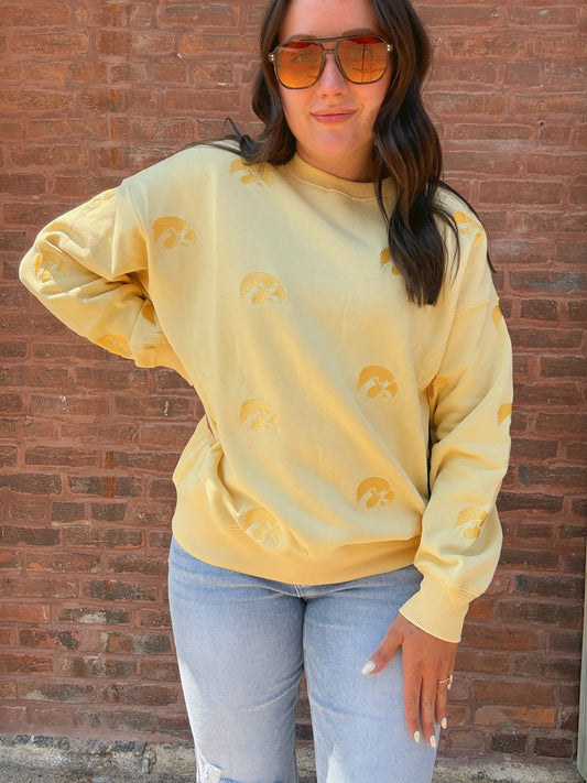 Iowa Ritter Repeat Lantern Sleeve Crew