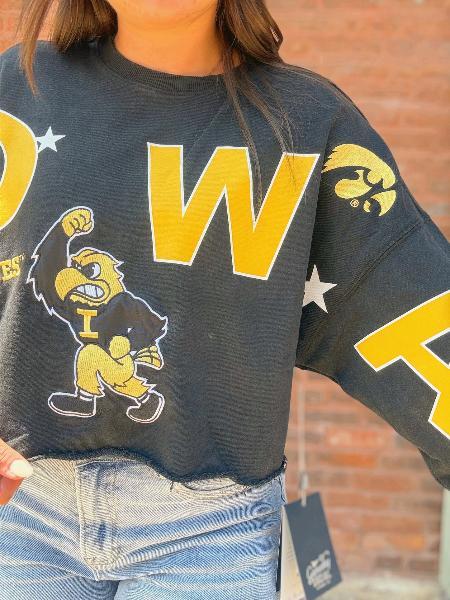 Iowa Patched Up Cropped Longsleeve