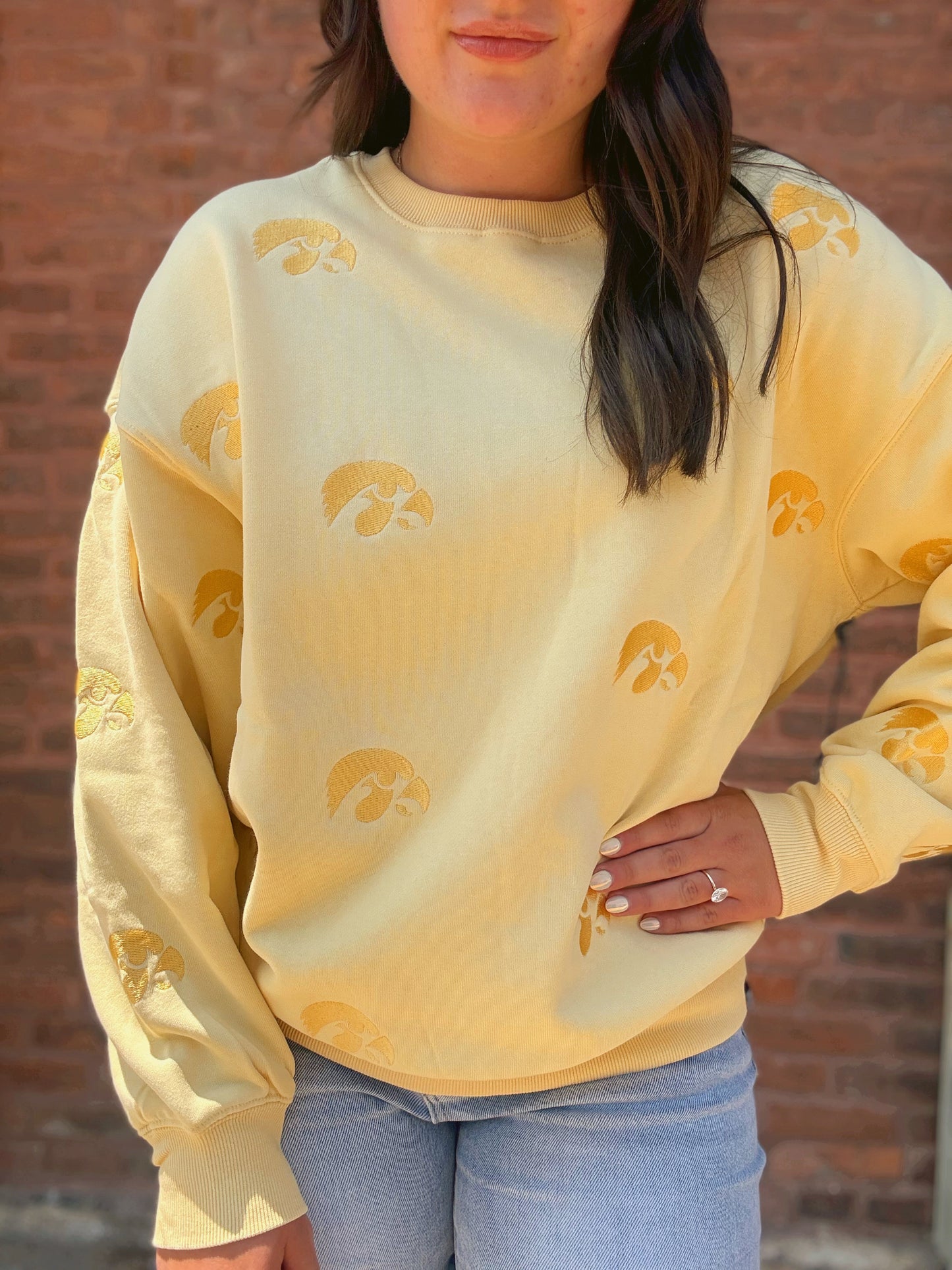 Iowa Ritter Repeat Lantern Sleeve Crew