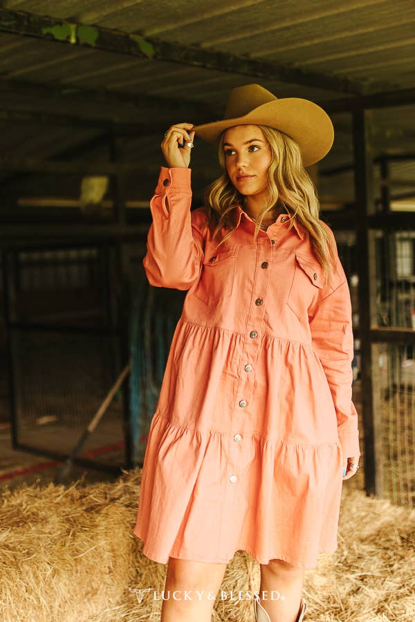 Peach Denim Dress